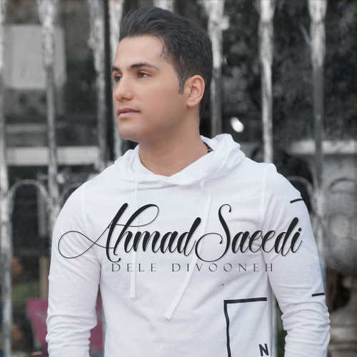 دانلود آهنگ جدید احمد سعیدی به نام دل دیوونه